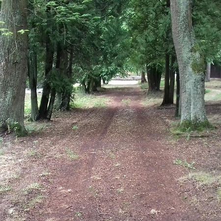 Stacja Wypoczynkowa Augustow Villa Екстериор снимка
